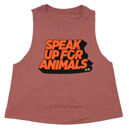 speak up for animals tank rewards
