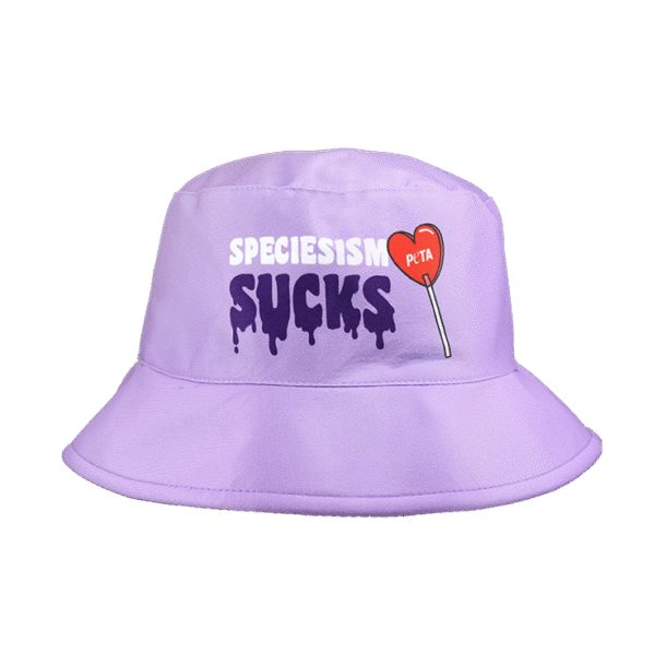 speciesism sucks hat rewards
