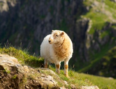 Image from Unsplash for the Nordstrom BP article