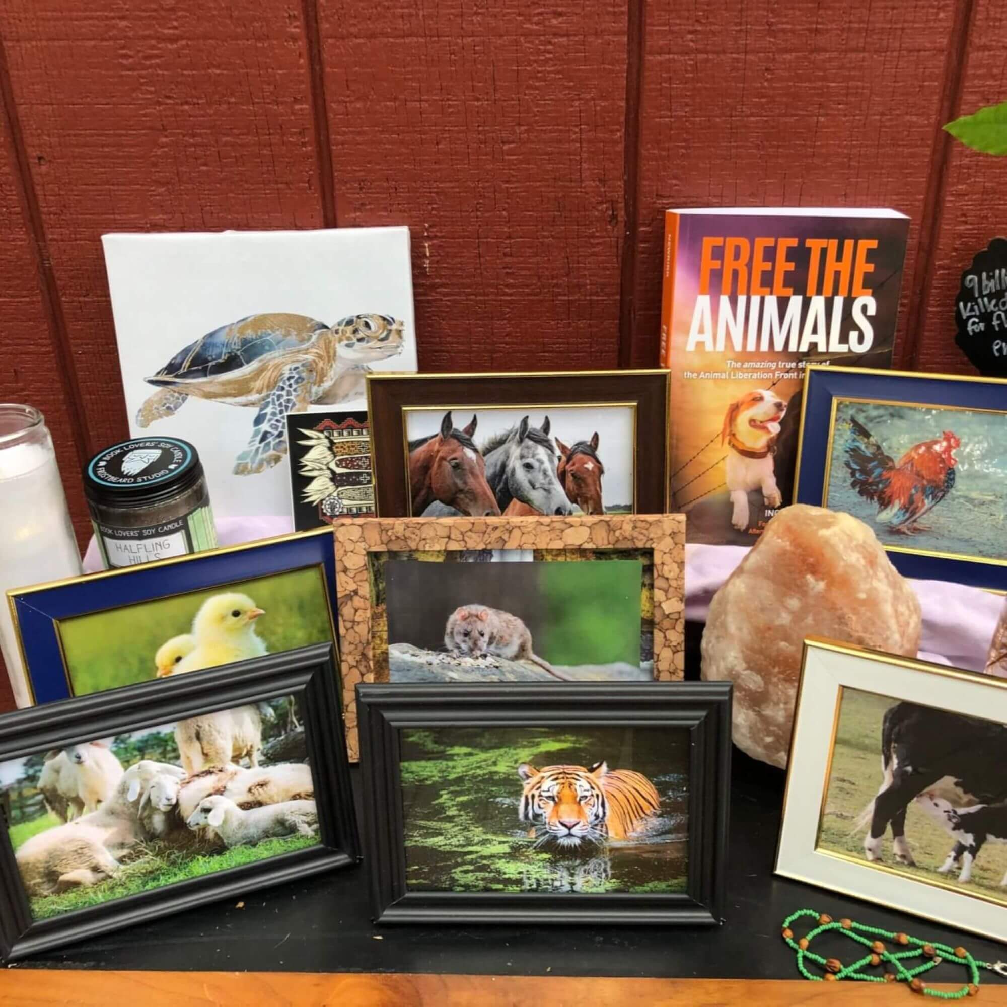 PETA-owned image of an altar from Talitha MM