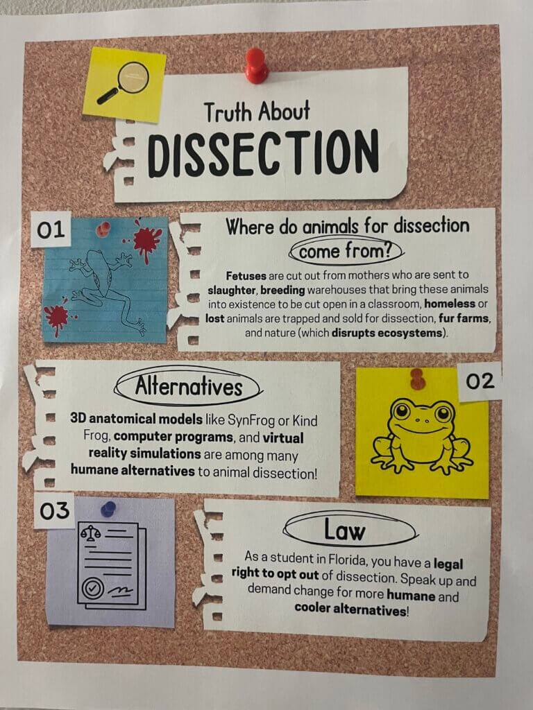 mission: make a diy dissection poster | peta2