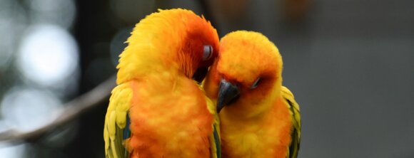 Image from Unsplash for the Hinge prompt responses article