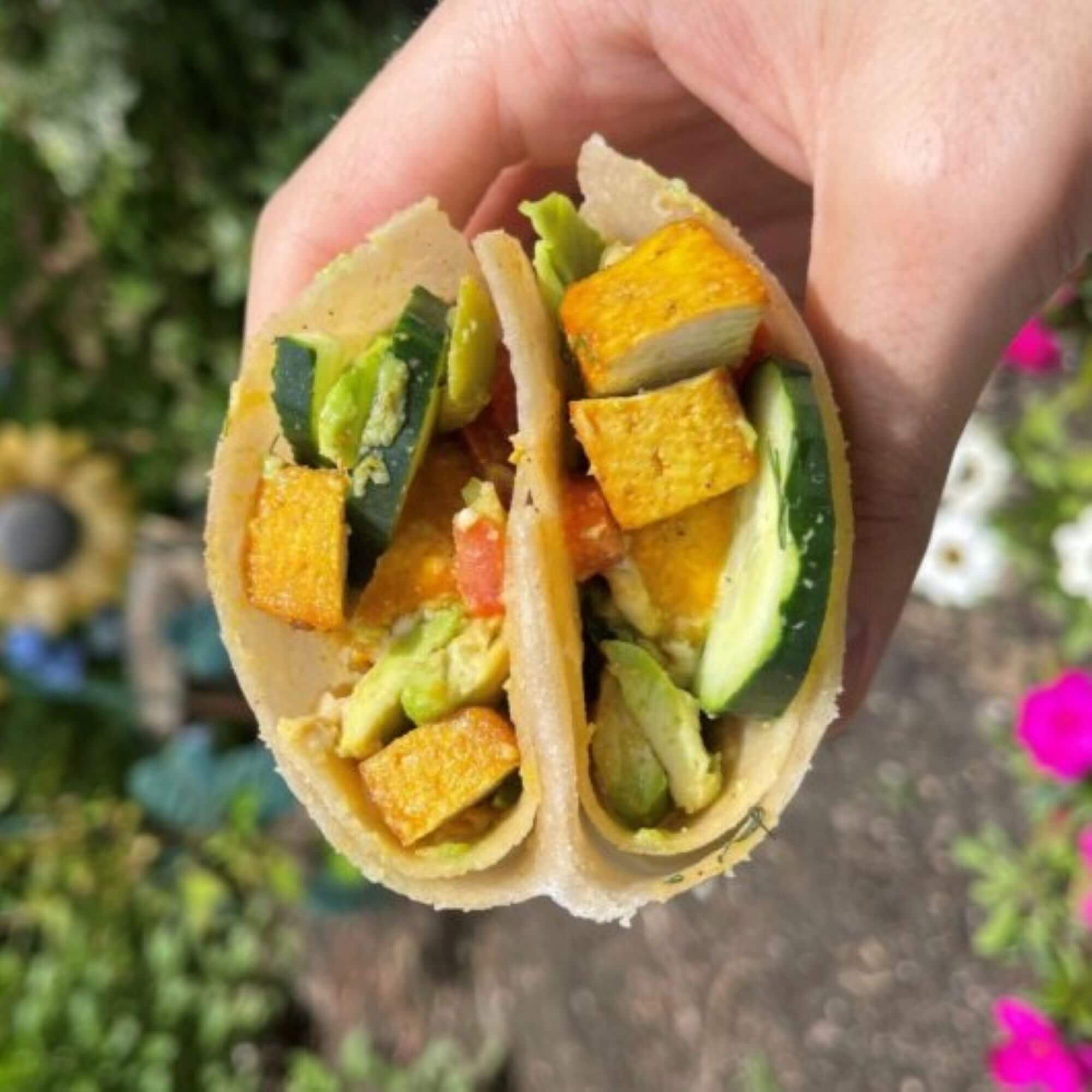 PETA-owned image for the vegan Mediterranean diet article