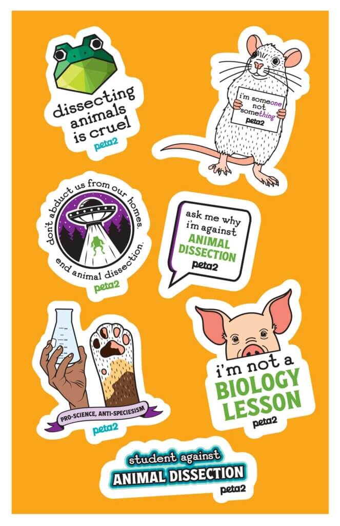 PETA-owned image of the updated dissection sticker sheet