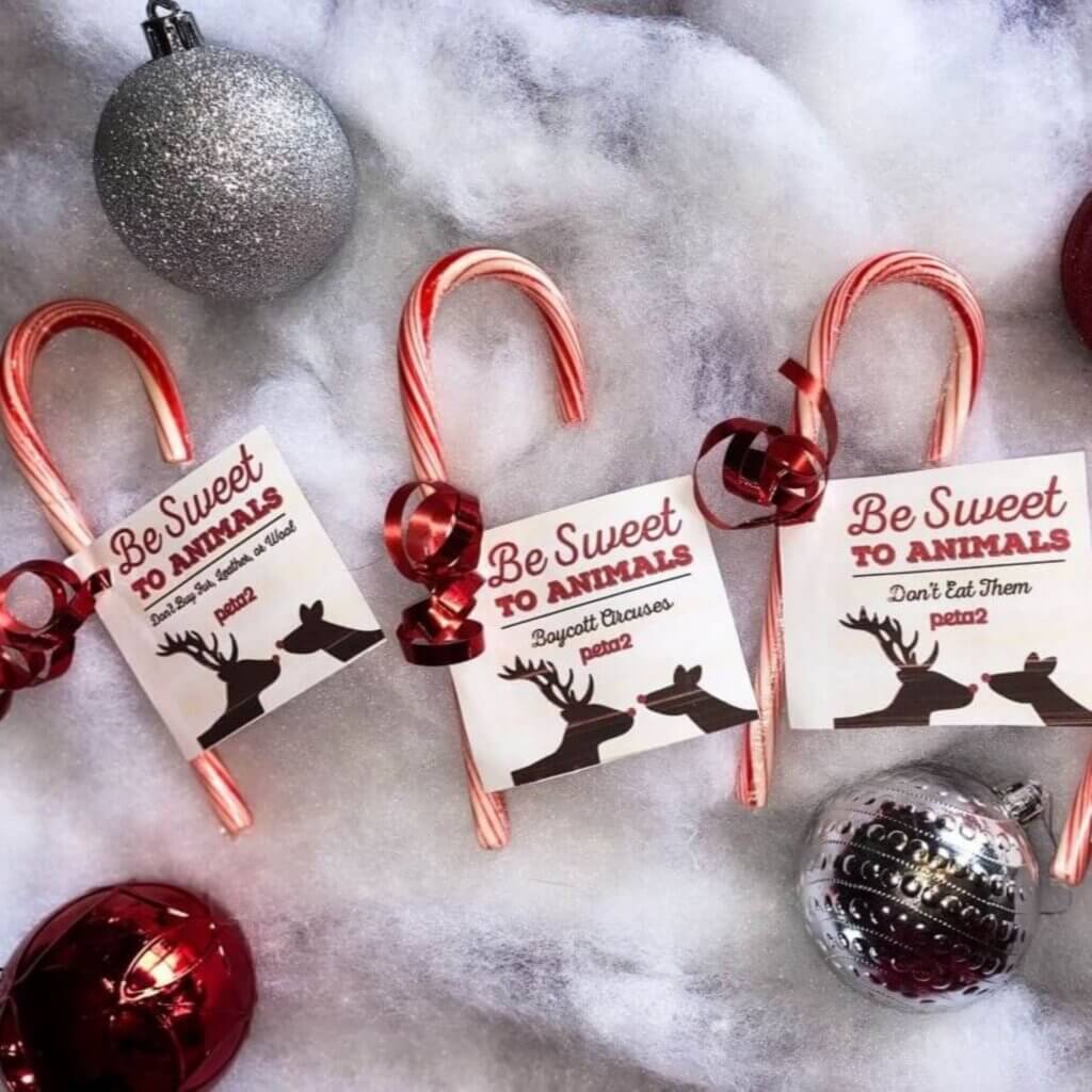 PETA-owned image for the advent calendar page