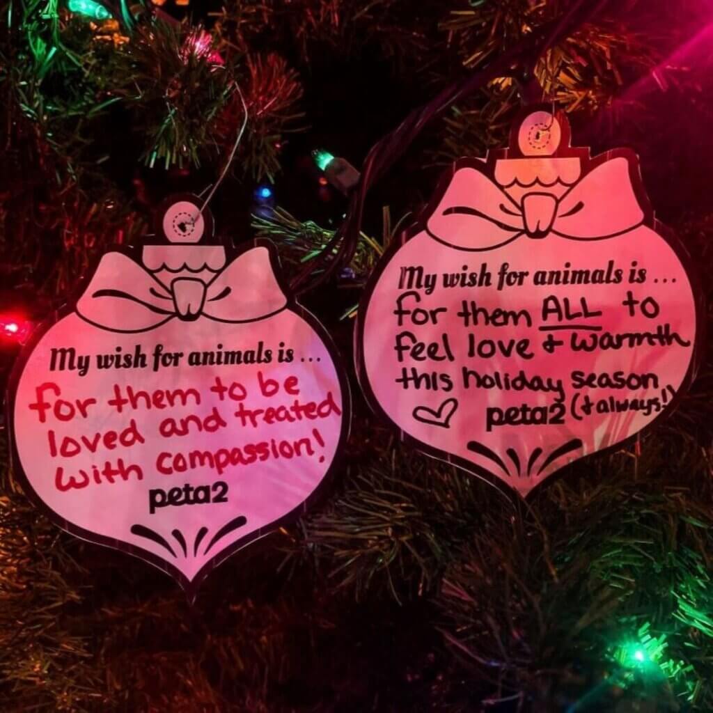 PETA-owned image for the advent calendar page
