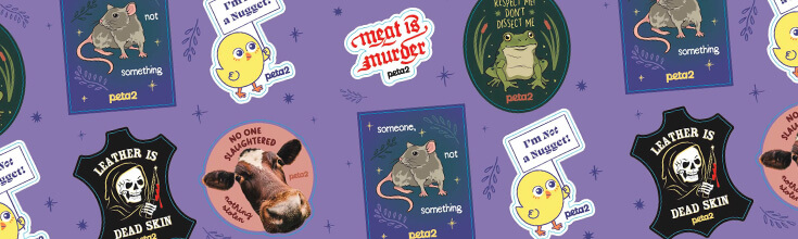 free animal rights stickers! | peta2