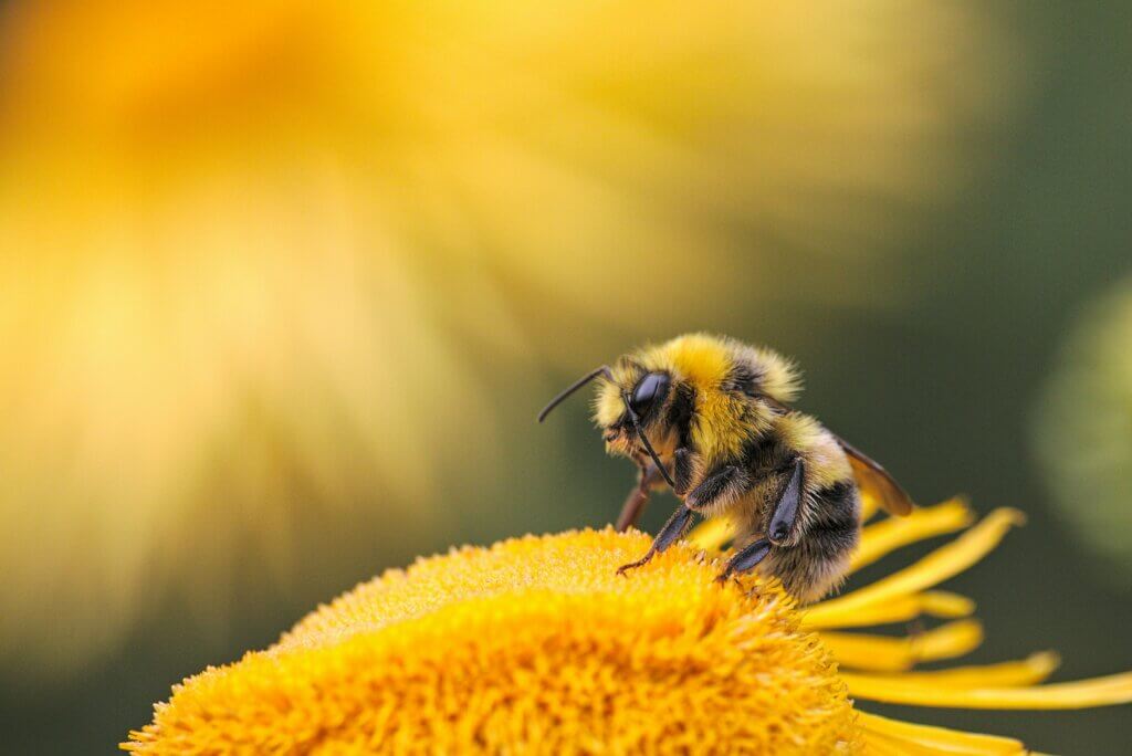 Image from Unsplash for the misinformation article