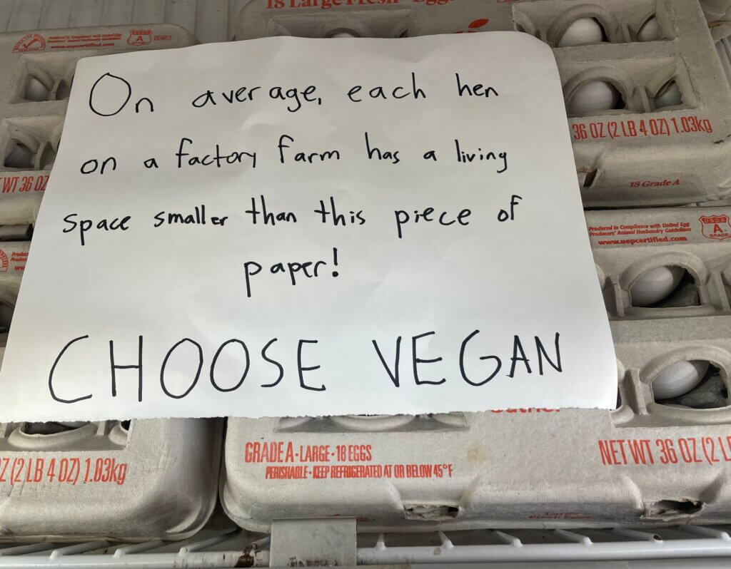 PETA-owned image for the piece of paper mission