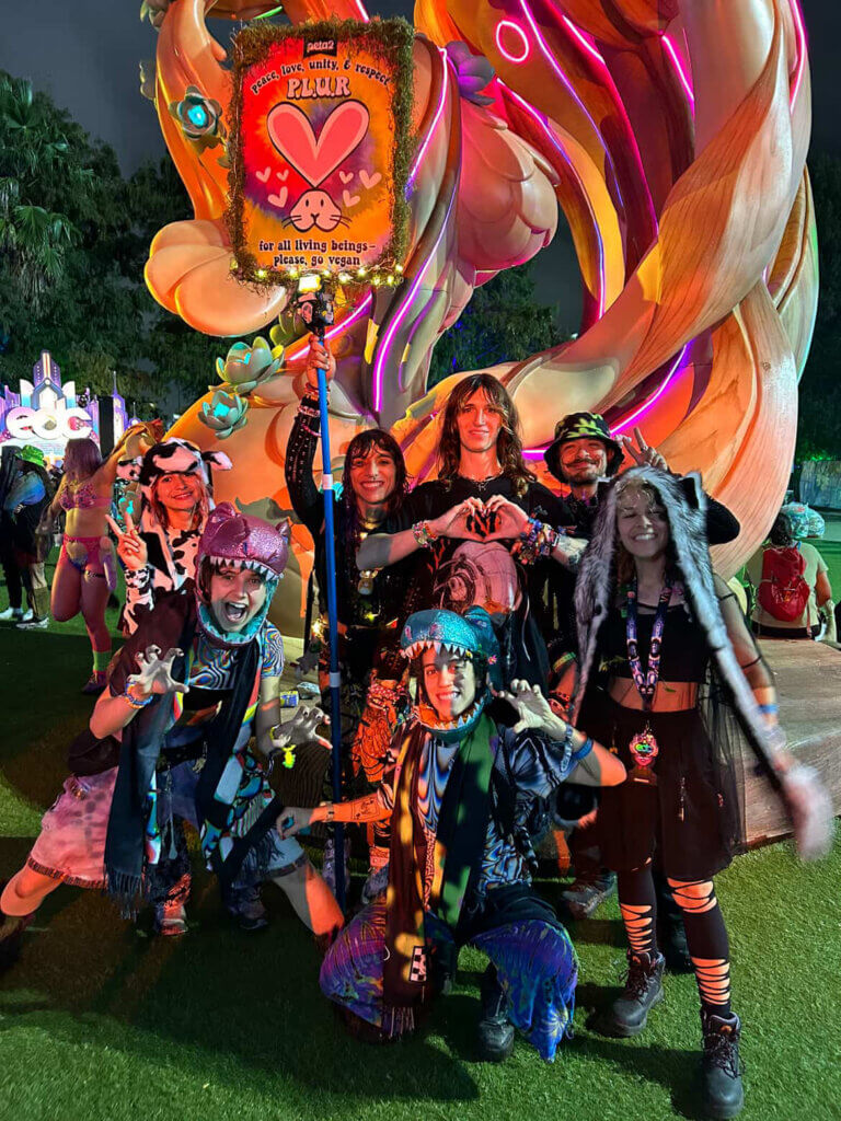 PETA-owned image for the vegan rave fit article