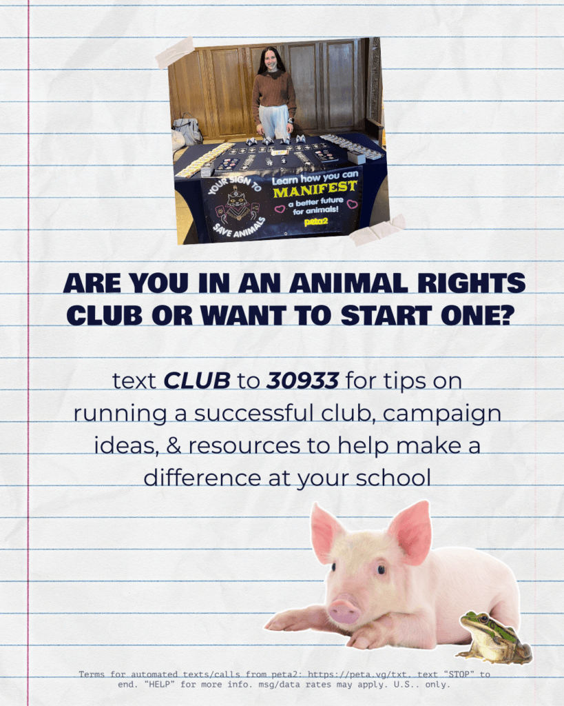 PETA-owned image for the Student Club Network page