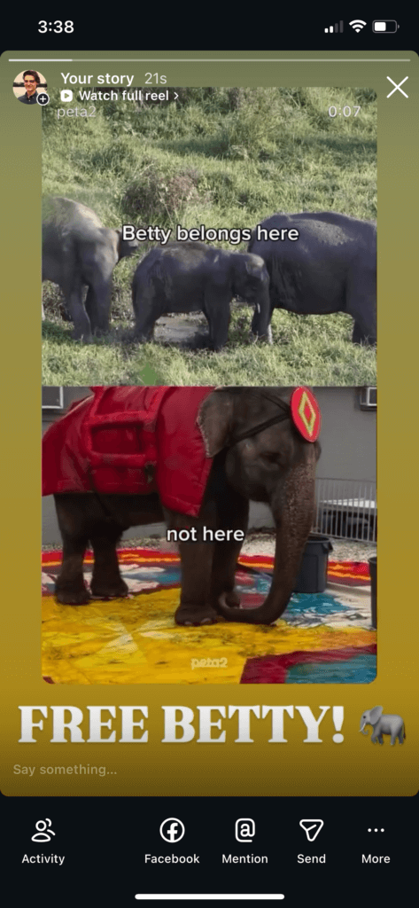 PETA-owned image for the Betty mission