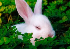 Image from Unsplash for the monsters mission