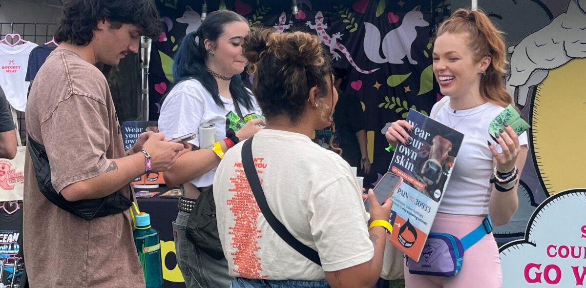 PETA-owned image for the 2025 Festival recap