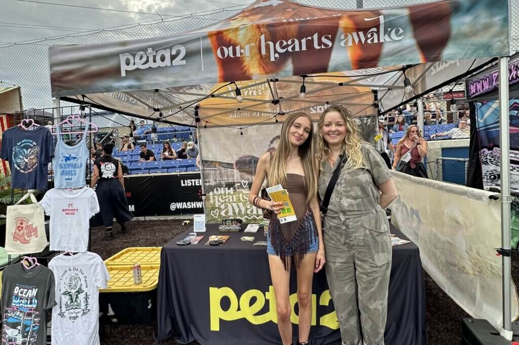 PETA-owned image for the 2025 Festival recap