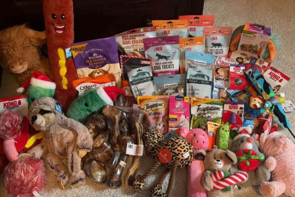 PETA-owned image for the Kendall Animal Shelters article