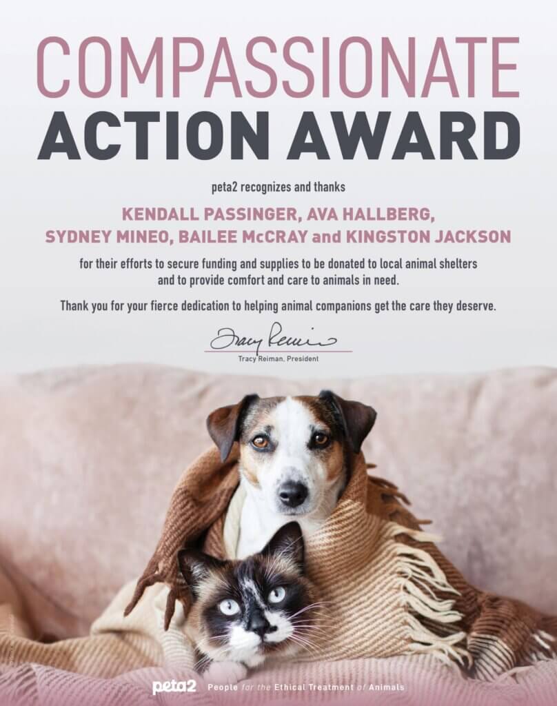 PETA-owned image for the Kendall Animal Shelters article