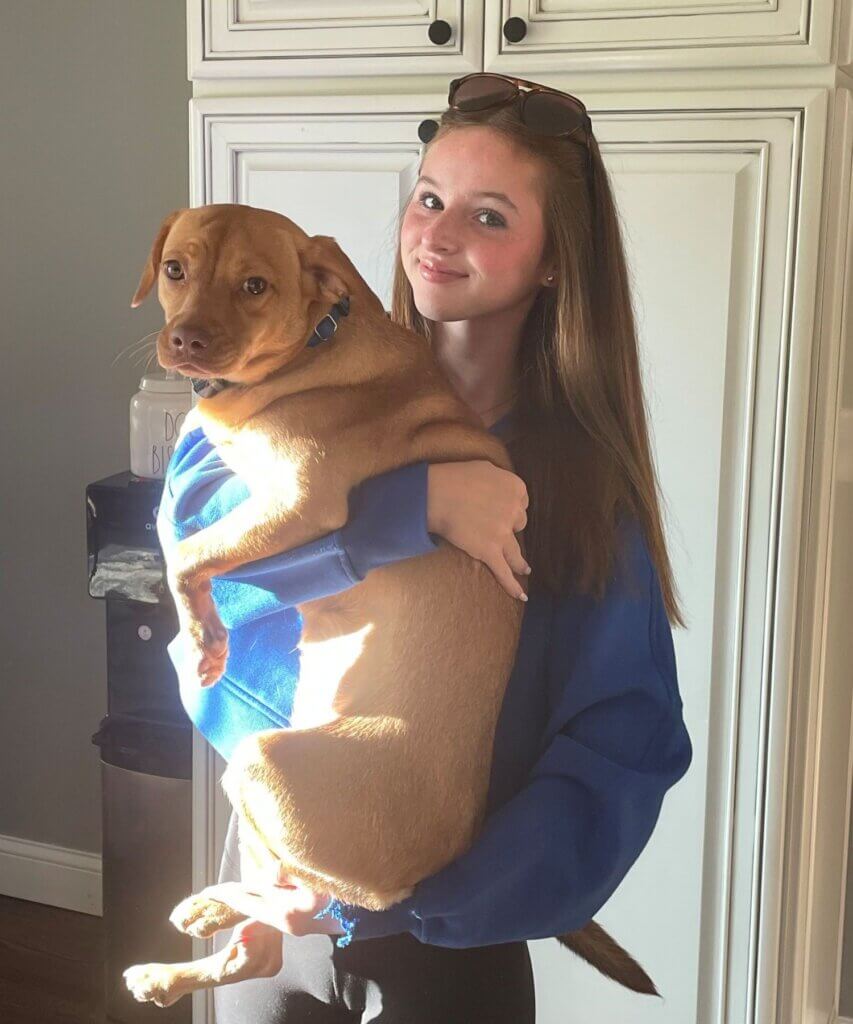 PETA-owned image for the Leah shelter article