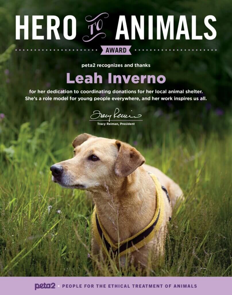 PETA-owned image for the Leah shelter article