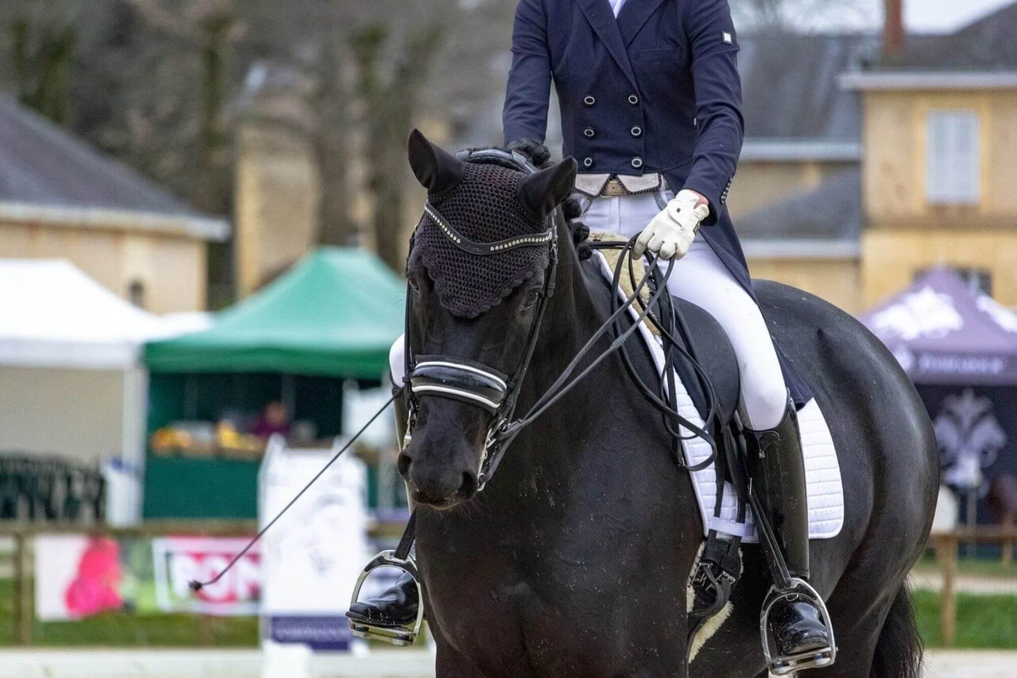 Image for the Olympic Horse Events AA