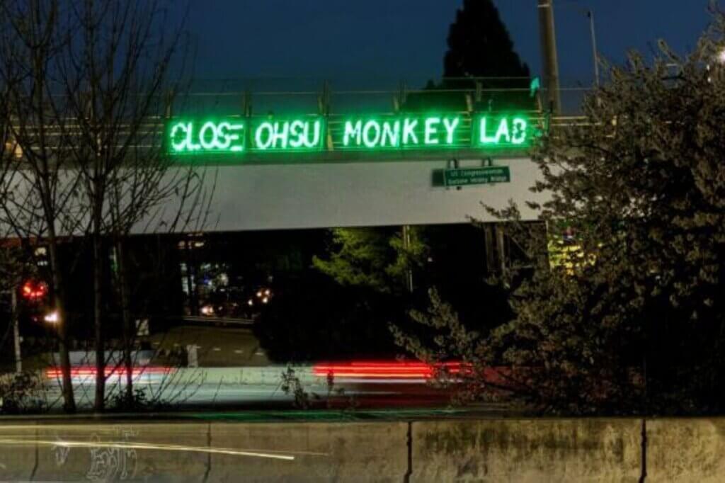 PETA-owned image for the Oregon Primate page