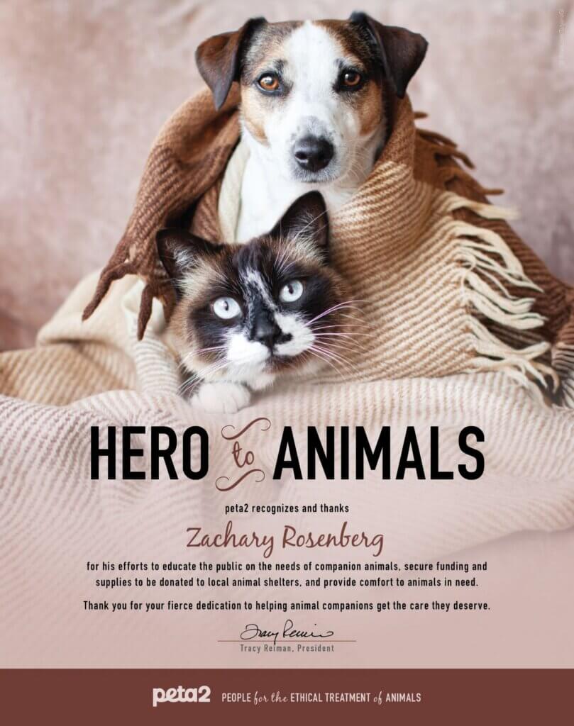 PETA-owned image for the Zachary Scout Shelter article
