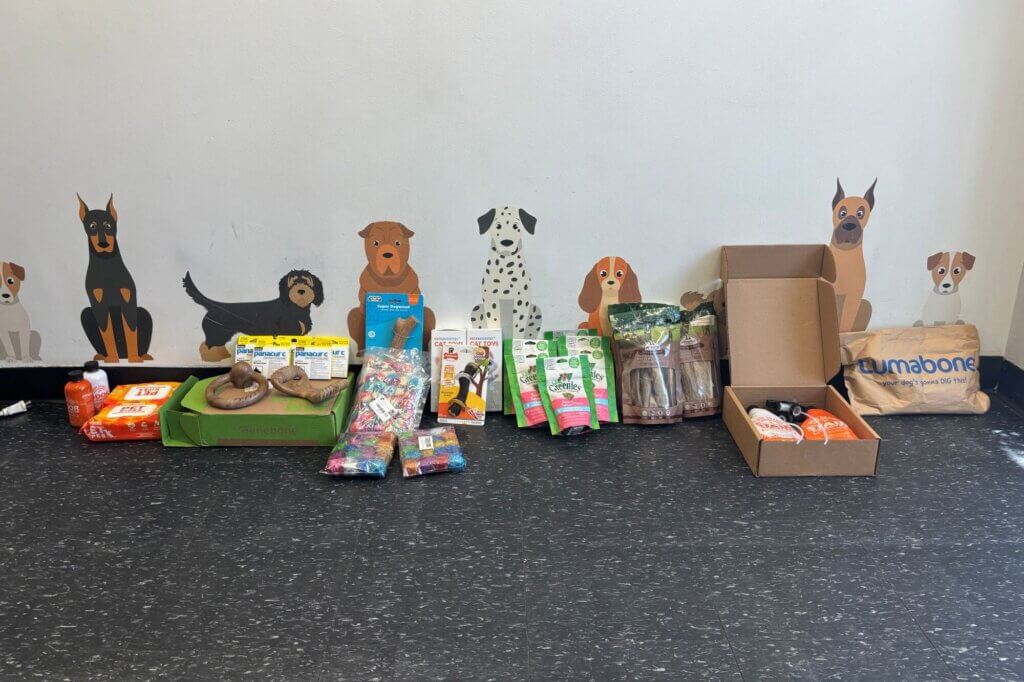 PETA-owned image for the Zachary Scout Shelter article