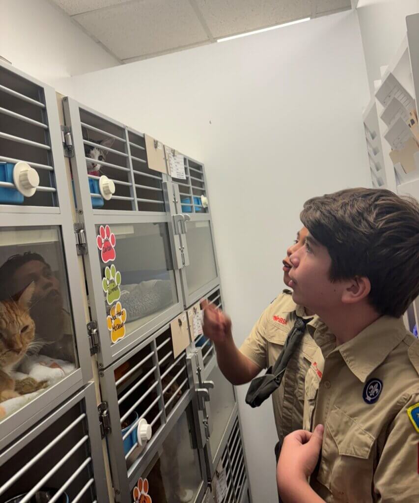 PETA-owned image for the Zachary Scout Shelter article