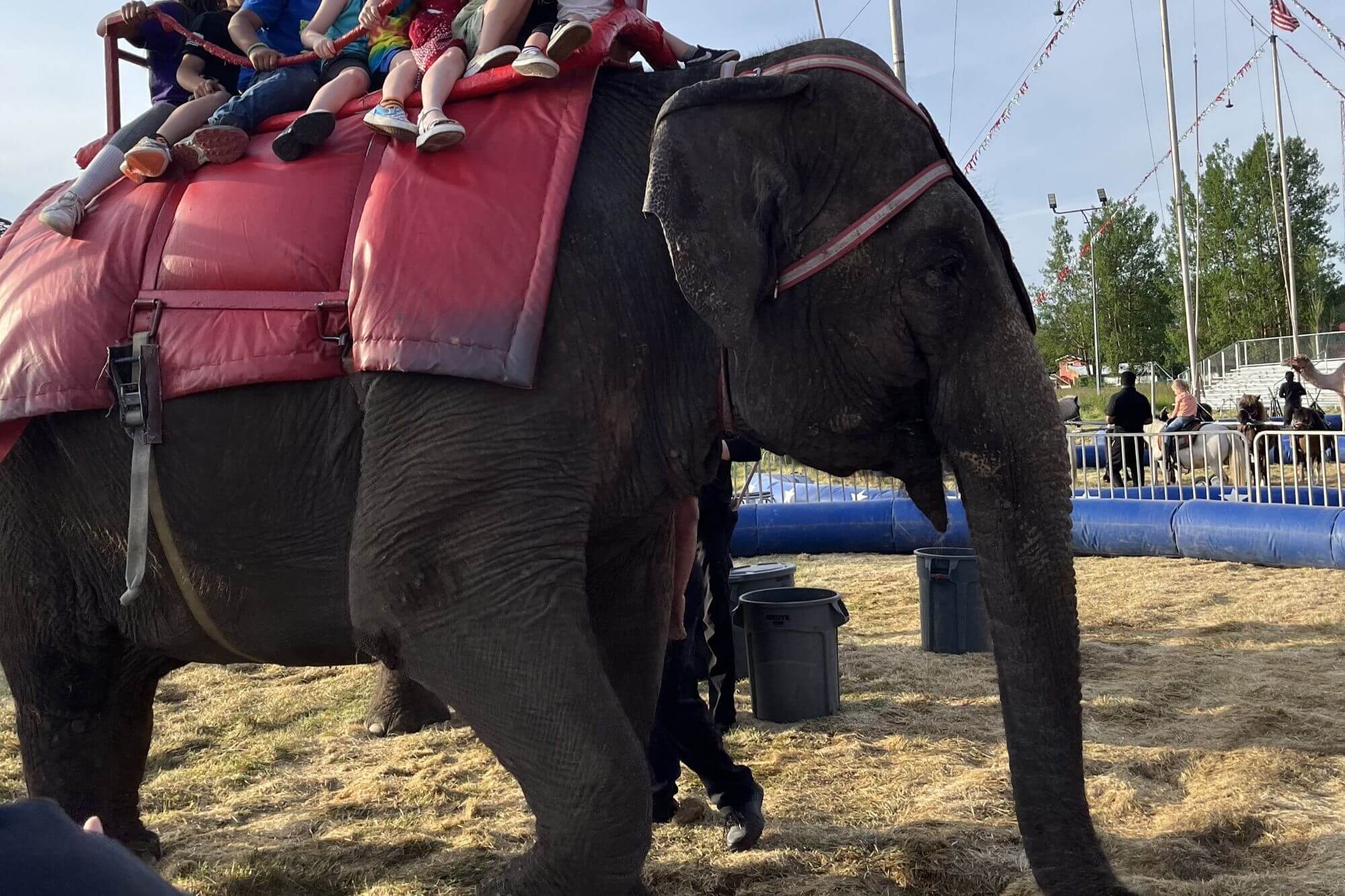 Image for the Jordan World Circus Action Alert