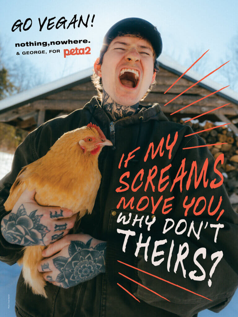 PETA owned image for the nothing nowhere article