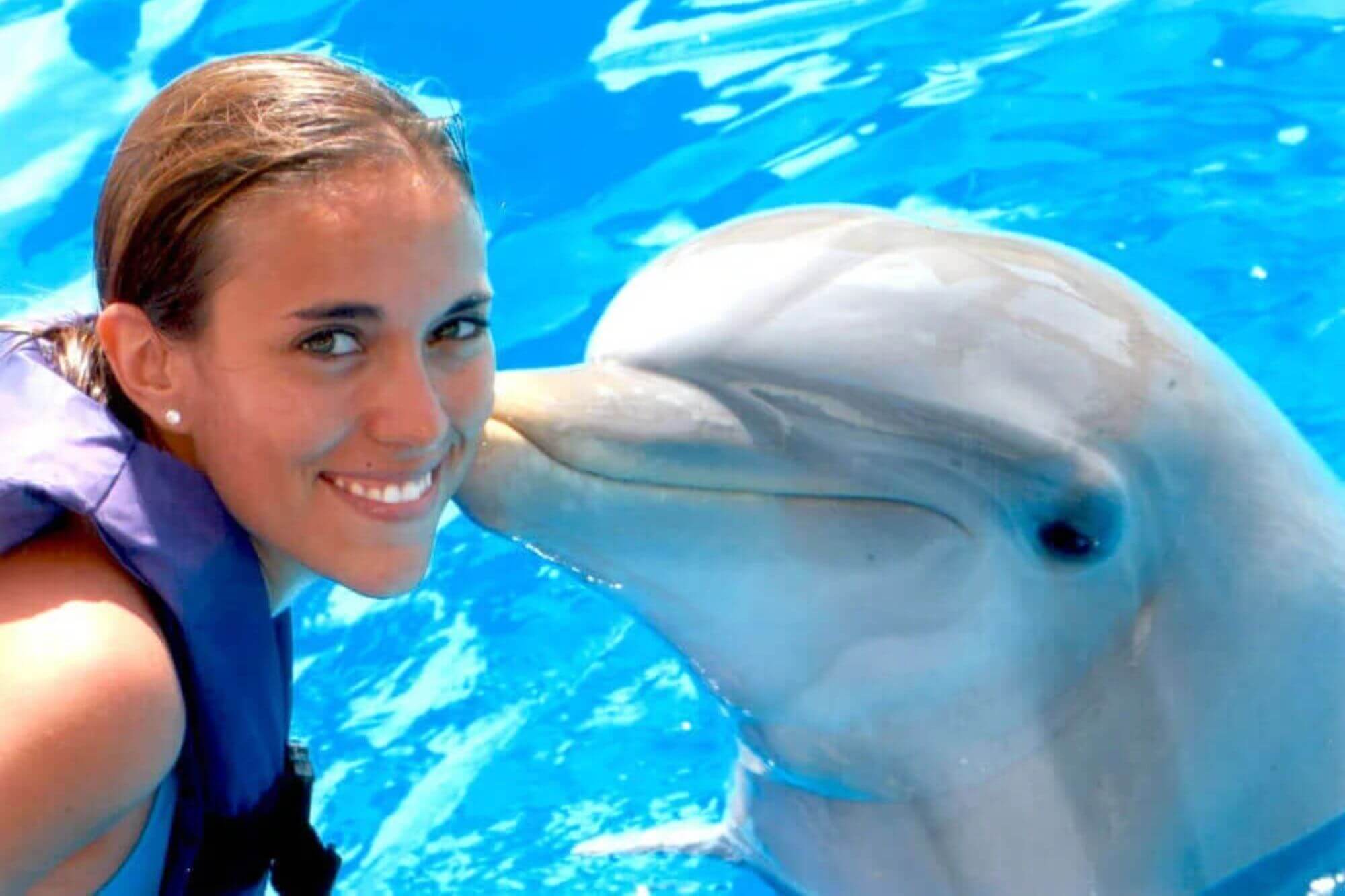 Image for the Dolphin Resorts AA
