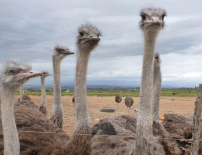 image for the house of CB AA