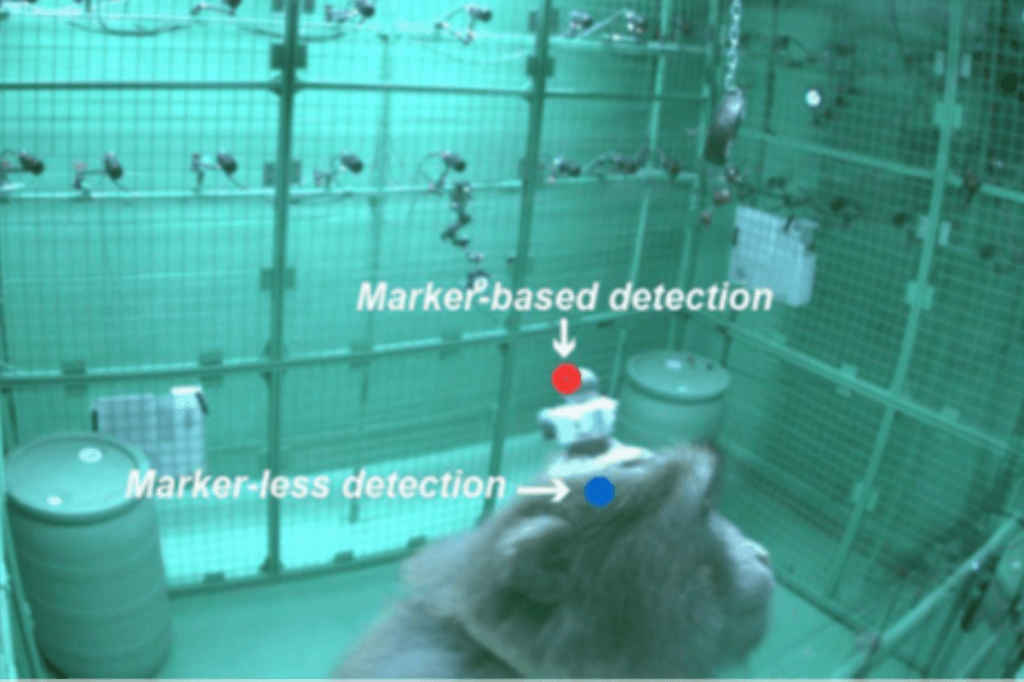 image for the University Minnesota Monkeys News page