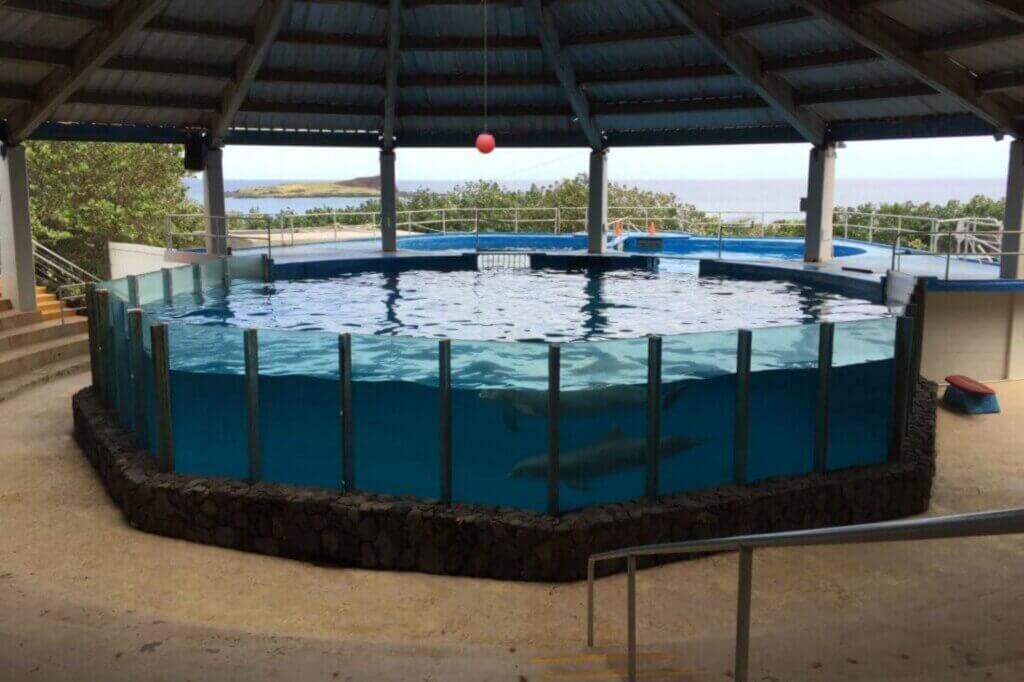 Image for the Dolphins Marine Parks news page