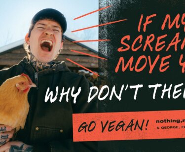 PETA owned image for the nothing nowhere article