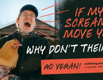 PETA owned image for the nothing nowhere article