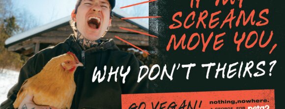 PETA owned image for the nothing nowhere article