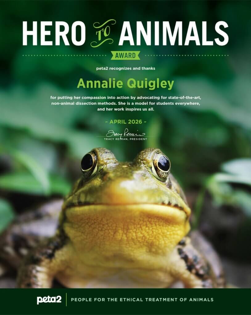 PETA owned image for the Annalie kind frog article