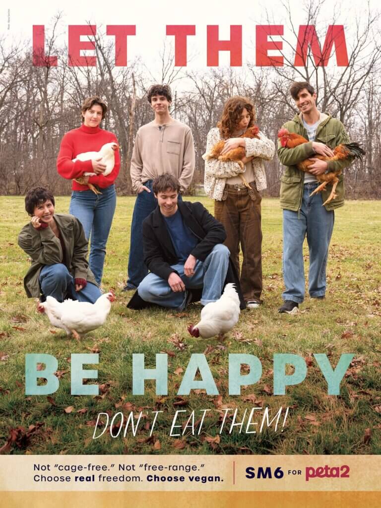 image for the SM6 vegan article