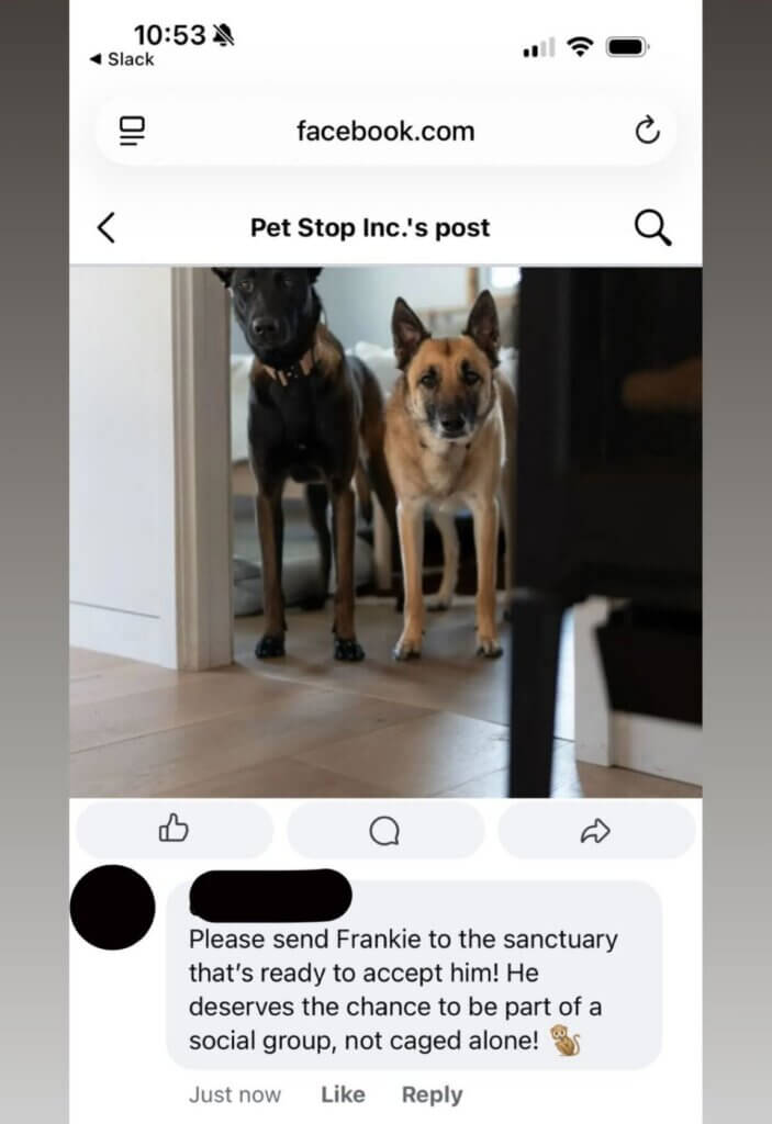 PETA owned image for the Save Frankie Mission