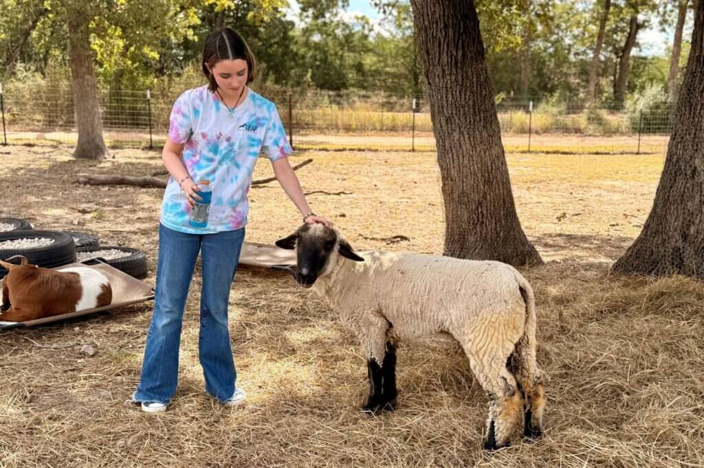 PETA owned image for the conditioning Shame article