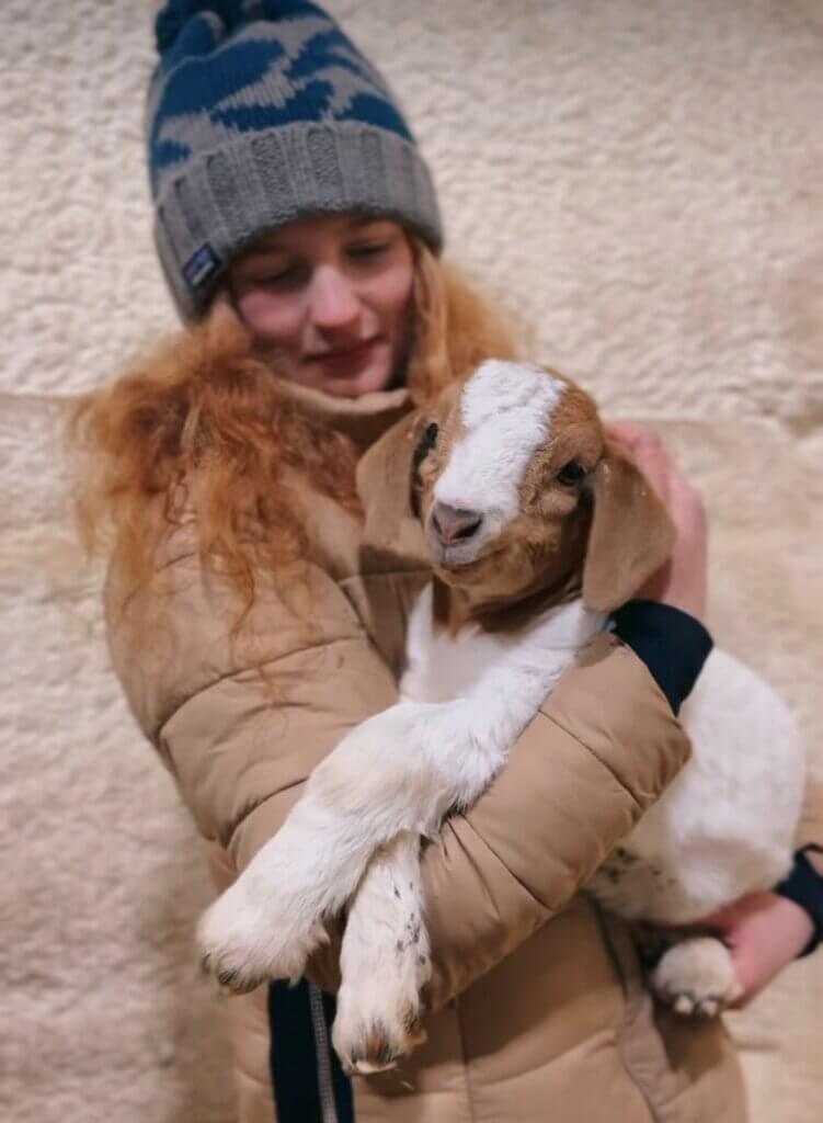 PETA owned image for the Farm Sanctuary article