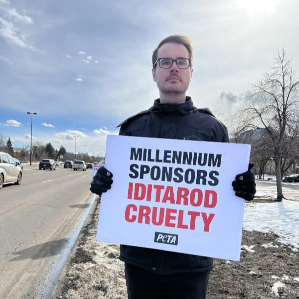 PETA-owned image for the Tylor Starr bio page