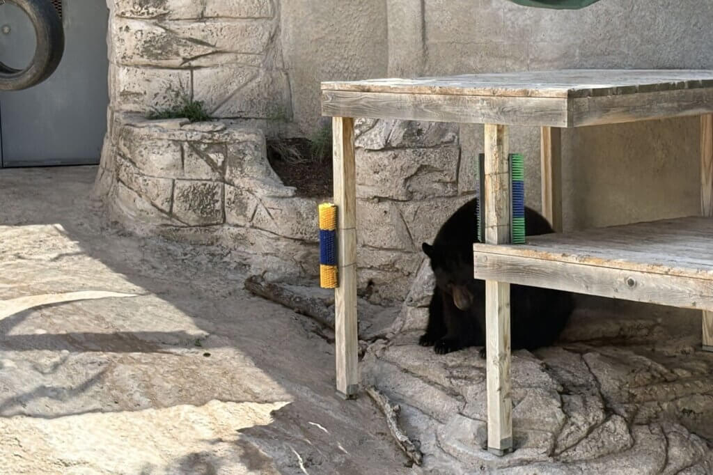 image for the Spring River Park Zoo Mission