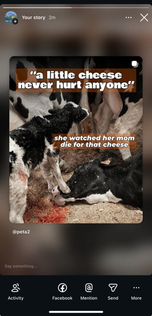 PETA owned image for the Spill Dairy Truth Mission