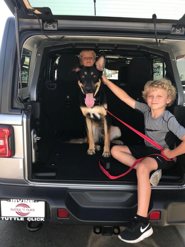 Image for the Mateo Save Dog article