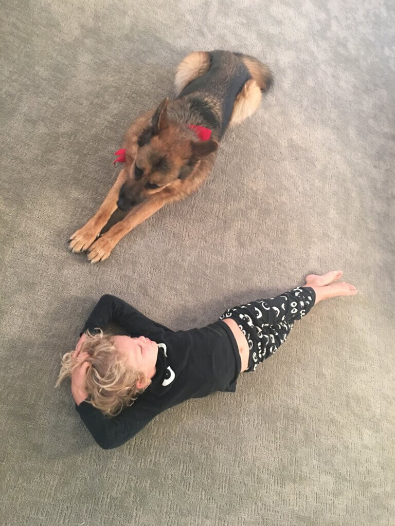 Image for the Mateo Save Dog article