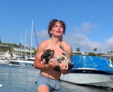 See How This 15-Year-Old Saved a Dog From Drowning in California!