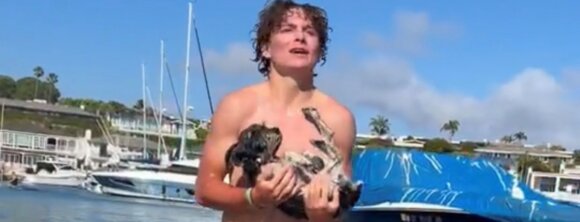 See How This 15-Year-Old Saved a Dog From Drowning in California!