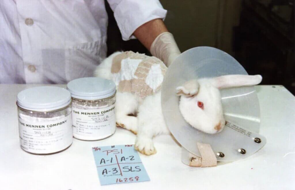 image for the Show Cruelty-Free mission